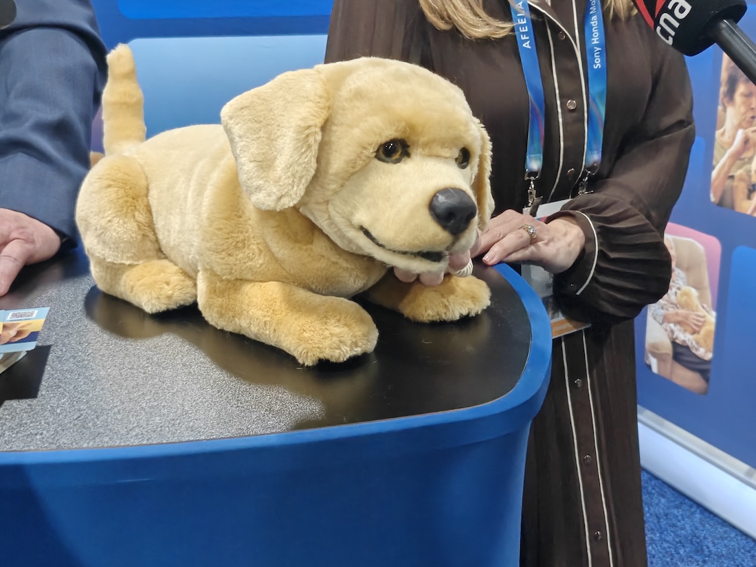 Le chien robot Jennie de la compagnie Tombot (Photo Steeve Fortin)